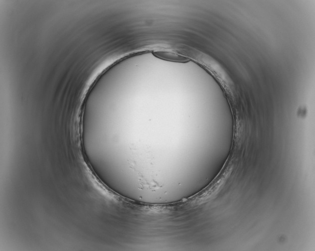 X0000096140808200802011209