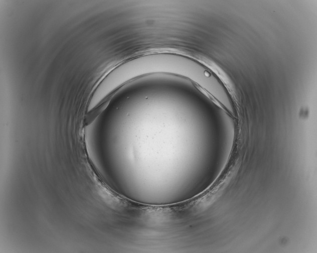 X0000096140809200802011209