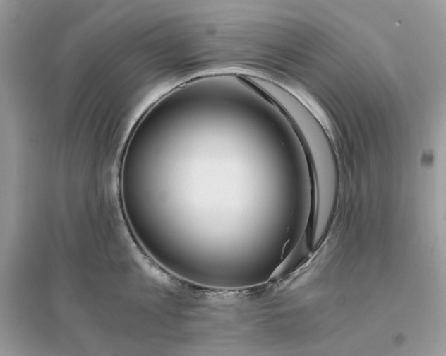 X0000096140813200802011209