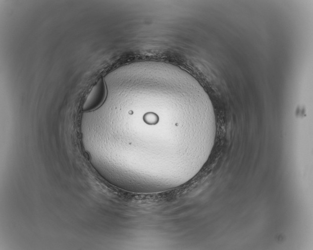 X0000096140817200802011208