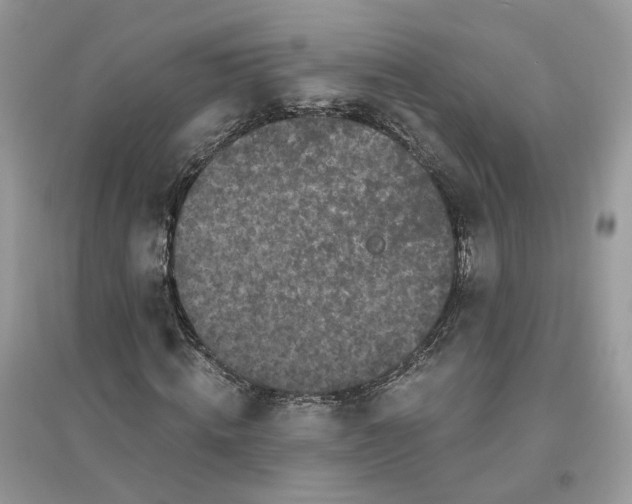 X0000096140820200802011208
