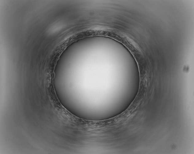 X0000096140821200802011208