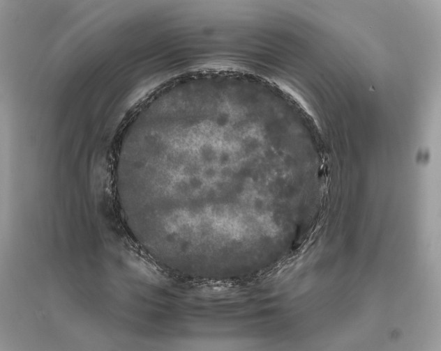 X0000096140823200802011208