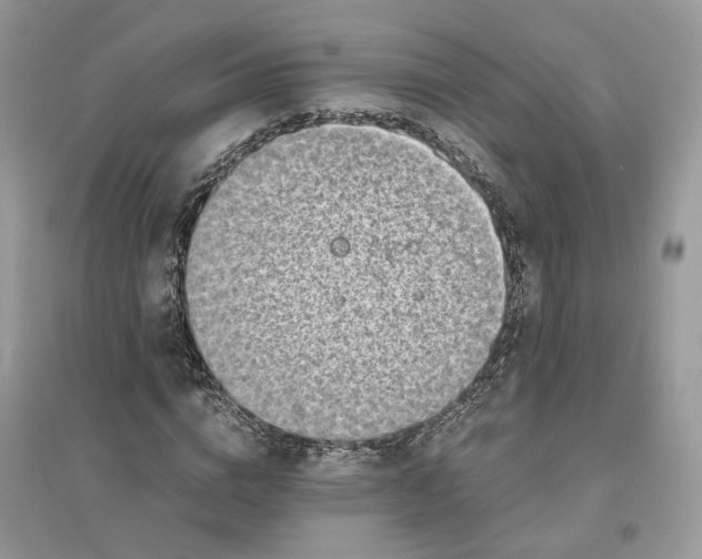 X0000096140824200802011208