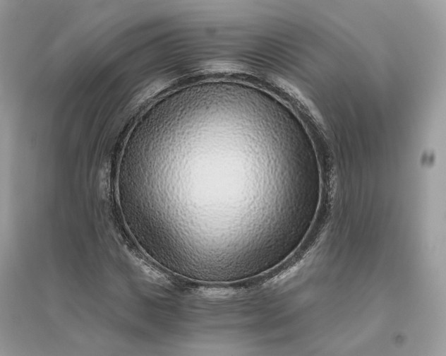 X0000096140825200802011208