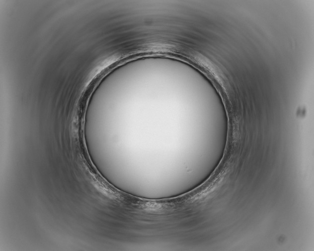X0000096140827200802011208