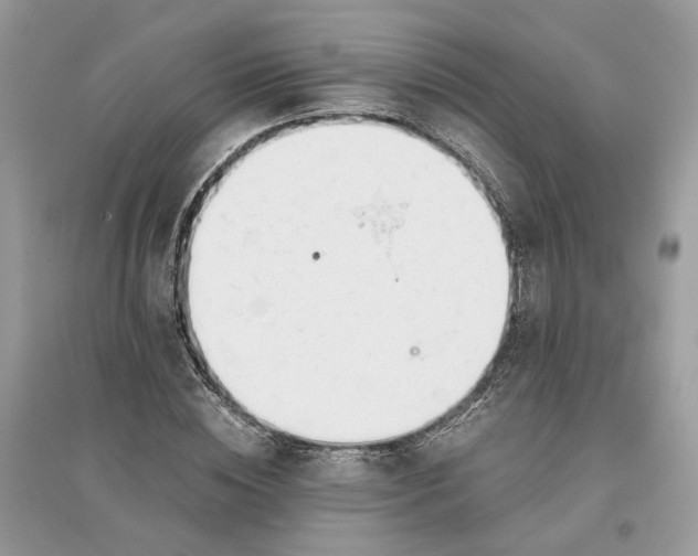 X0000096140828200802011208