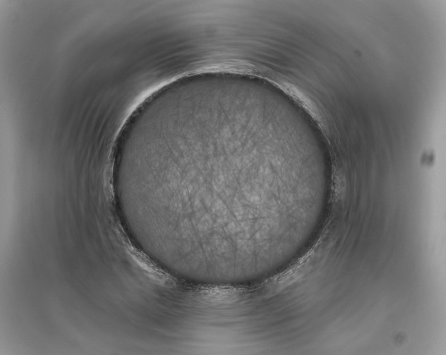 X0000096140830200802011208