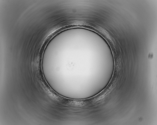 X0000096140831200802011208