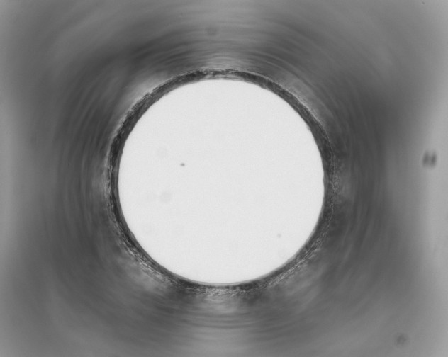 X0000096140832200802011208