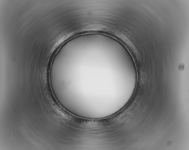 X0000096140834200802011208