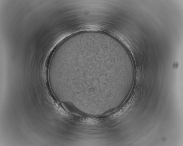 X0000096140835200802011208