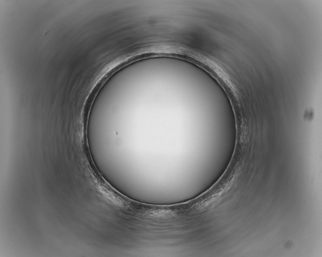 X0000096140837200802011208