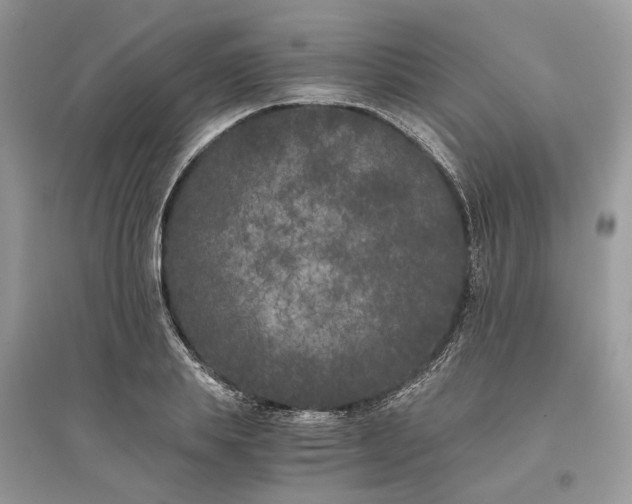X0000096140839200802011209