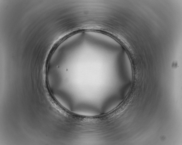 X0000096140840200802011209