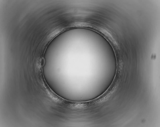 X0000096140841200802011209