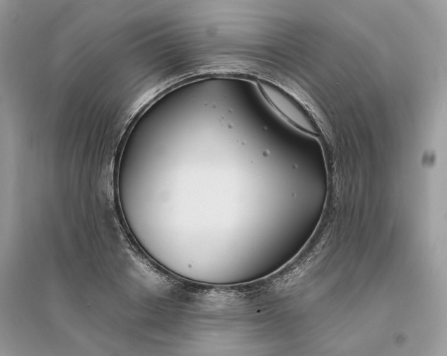 X0000096140842200802011209