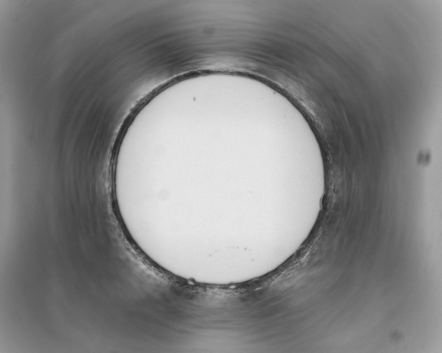 X0000096140848200802011209