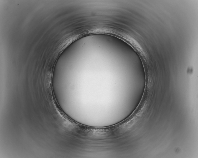 X0000096140849200802011209