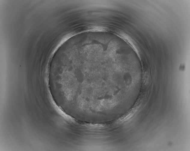 X0000096140851200802011209