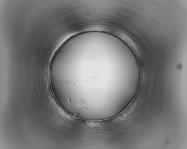 X0000096140852200802011209