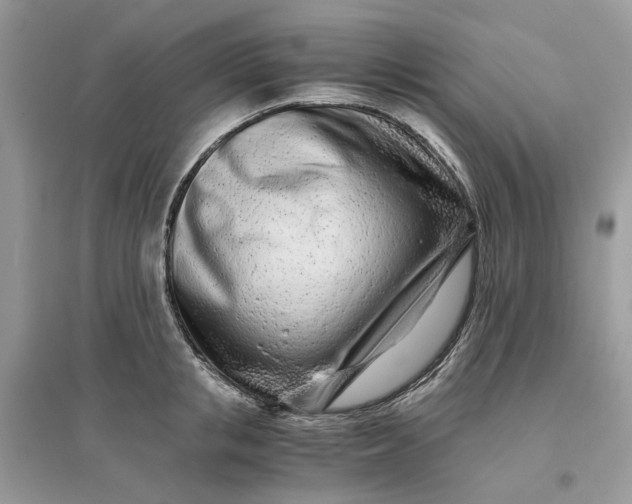 X0000096140853200802011209