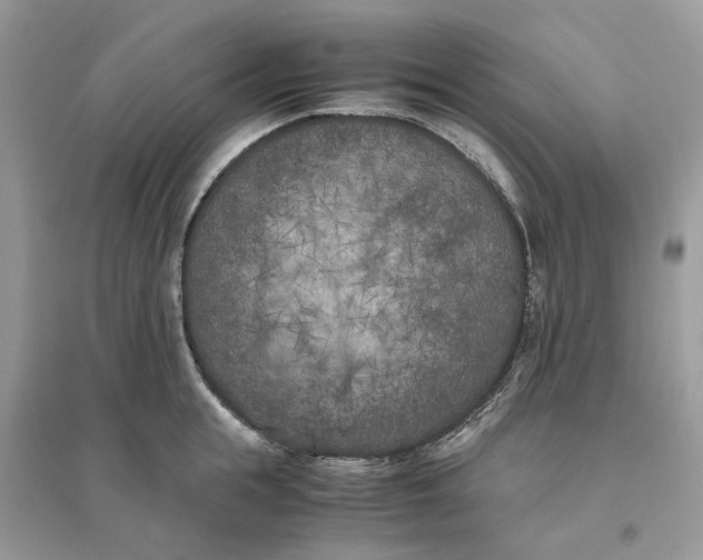 X0000096140855200802011209
