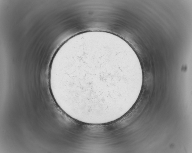 X0000096140856200802011209
