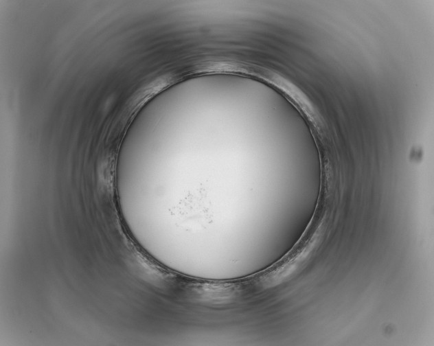 X0000096140857200802011209