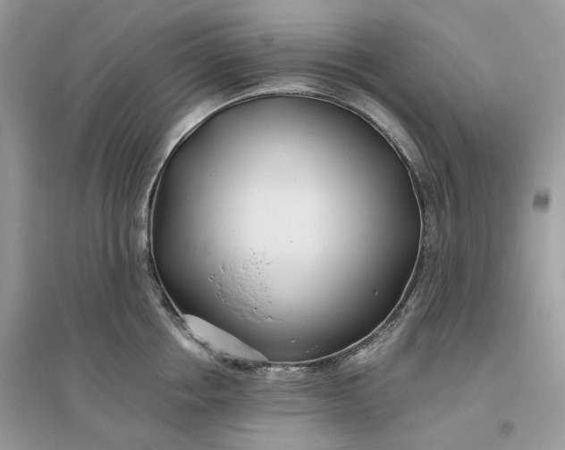 X0000096140858200802011209