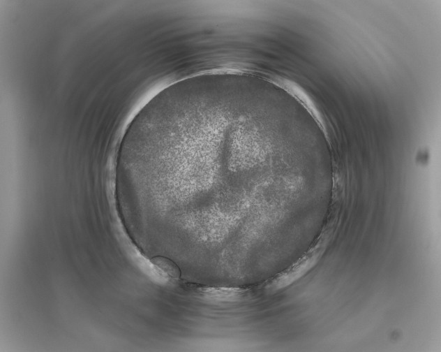 X0000096140859200802011209