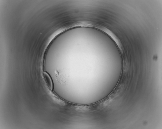 X0000096140861200802011209