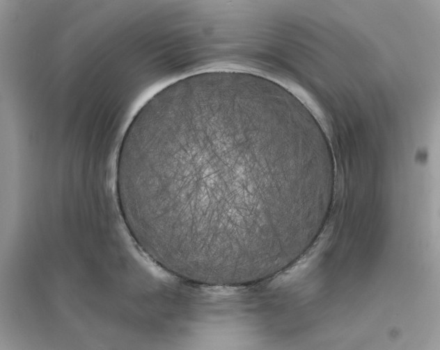 X0000096140862200802011209