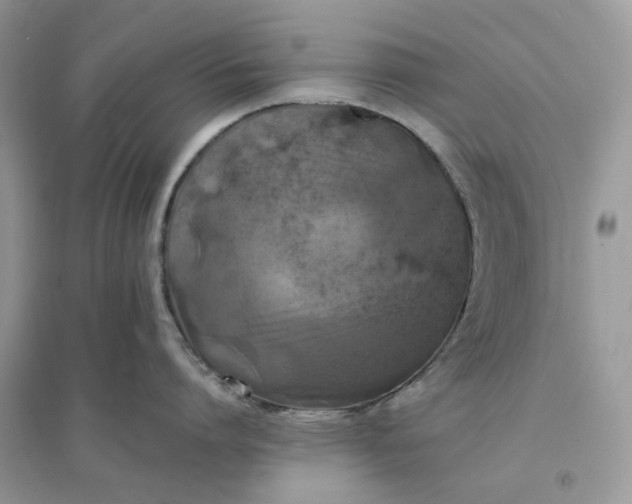 X0000096140864200802011209
