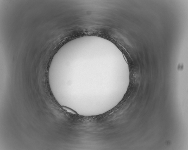 X0000096140865200802011208