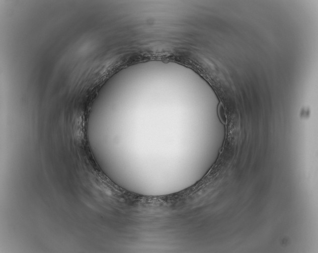X0000096140866200802011208