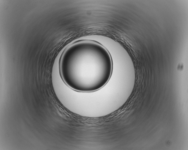 X0000096140868200802011208