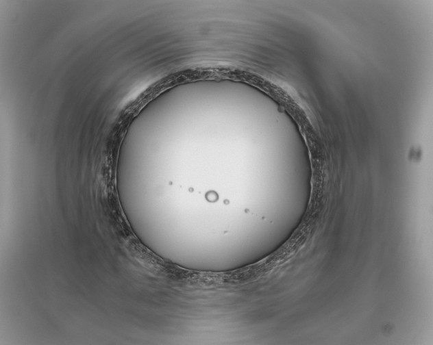 X0000096140871200802011208
