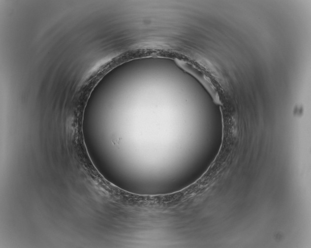 X0000096140872200802011208