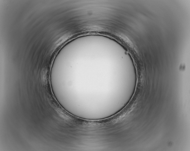 X0000096140873200802011208