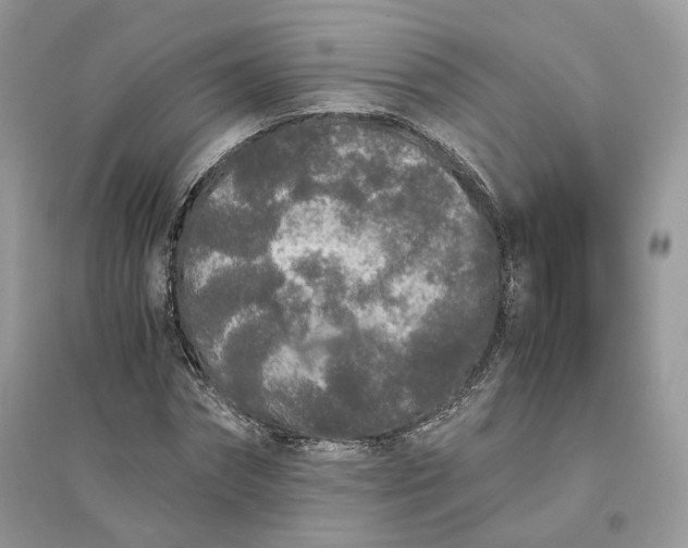 X0000096140874200802011208