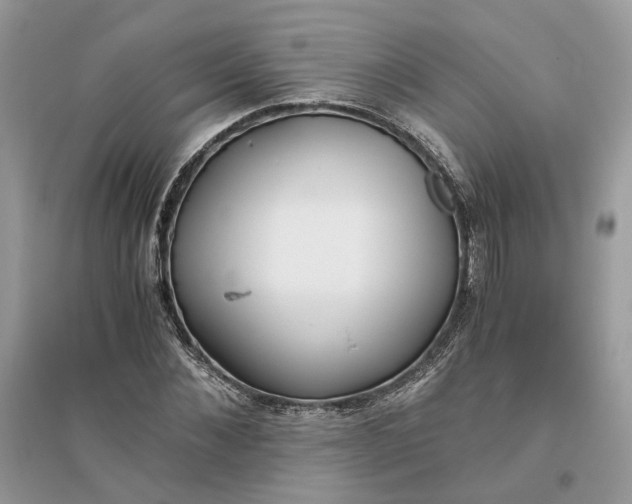 X0000096140876200802011208