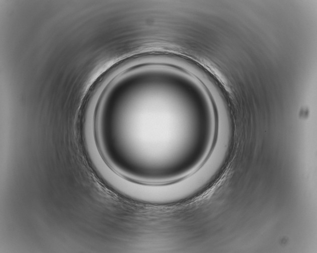 X0000096140877200802011208