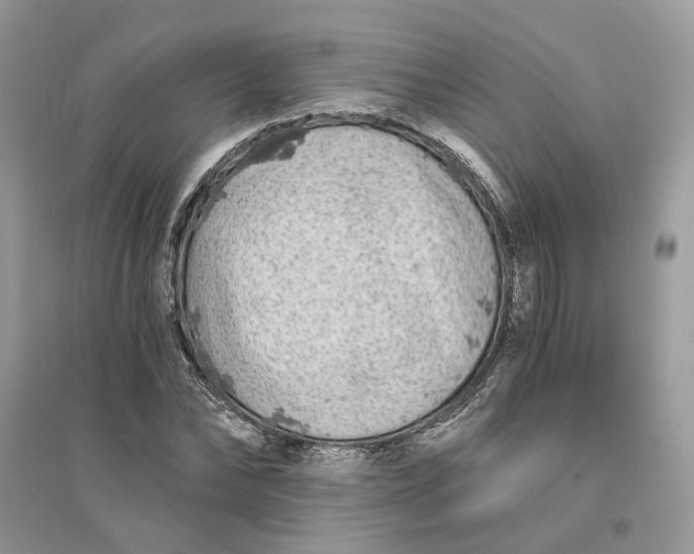 X0000096140878200802011208