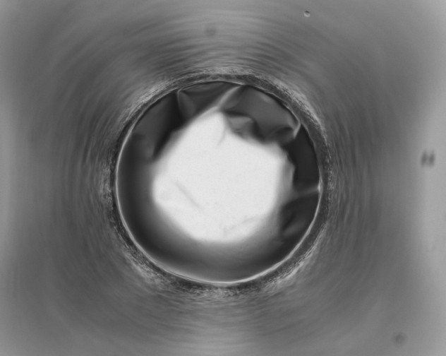 X0000096140881200802011208