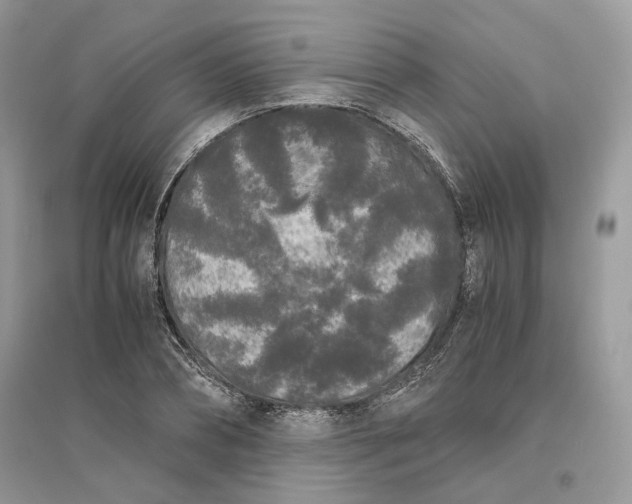 X0000096140882200802011208