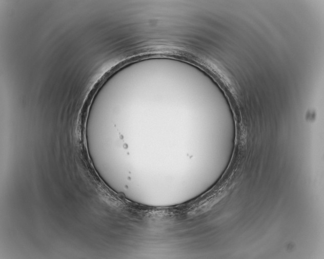 X0000096140883200802011208