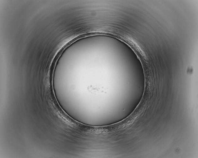 X0000096140884200802011208