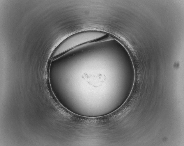 X0000096140885200802011208