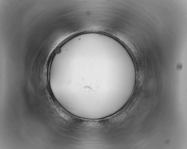 X0000096140886200802011208